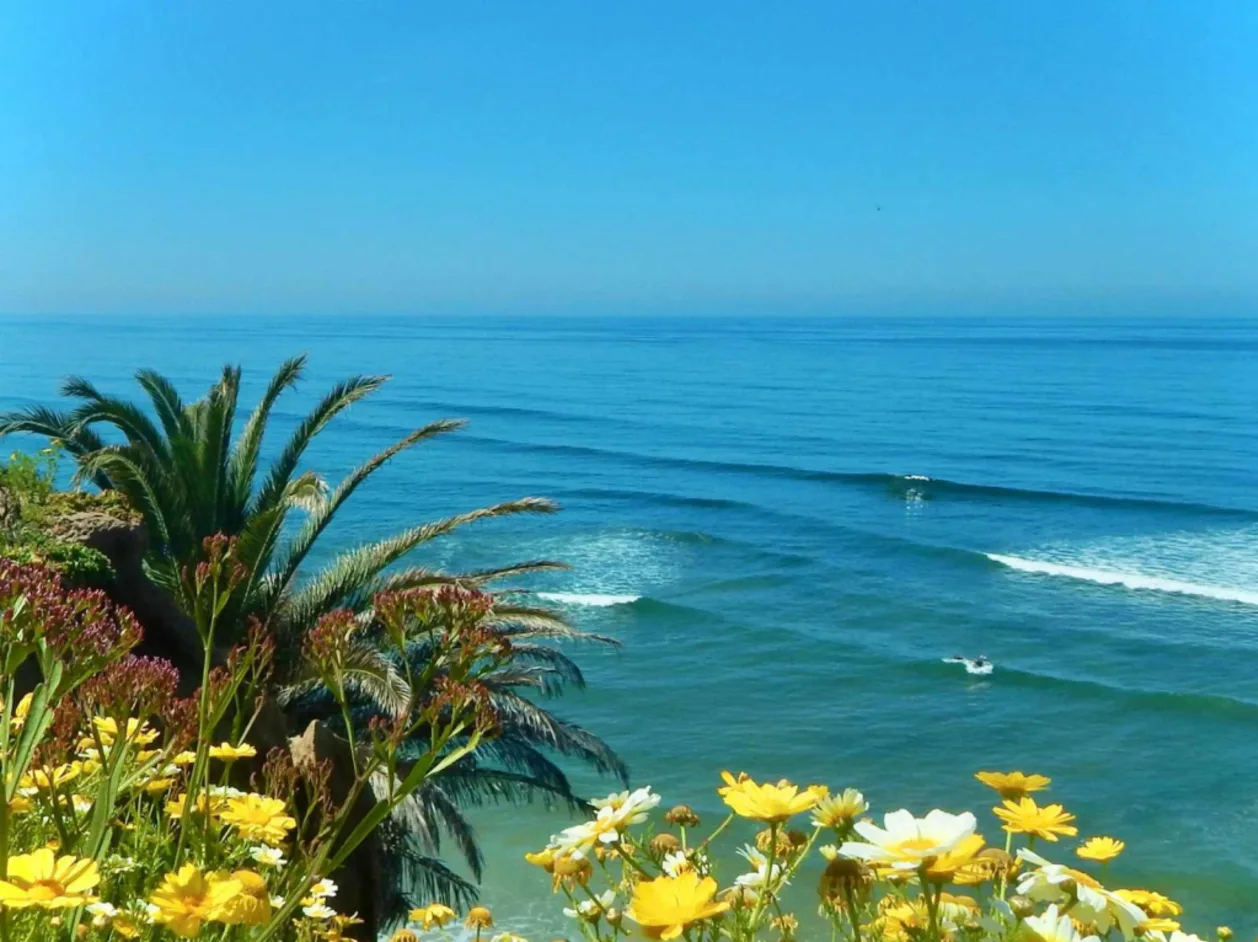 Del Mar cliffside San Diego summer vacation destination